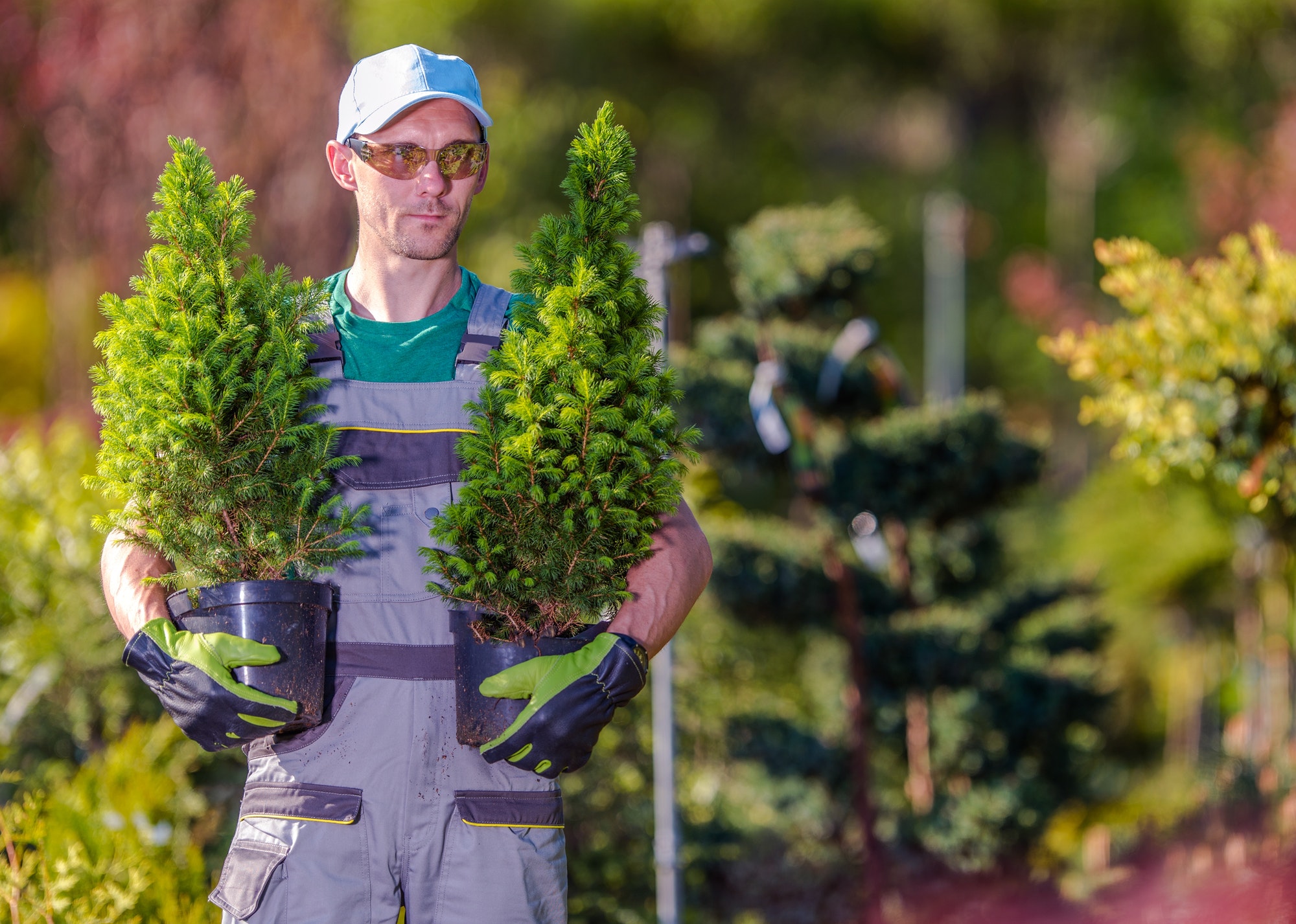 gardener-shopping-time.jpg